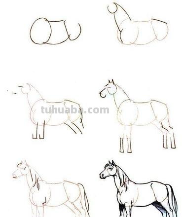 彩铅画的卡通马怎么画 五个步骤教你画马?