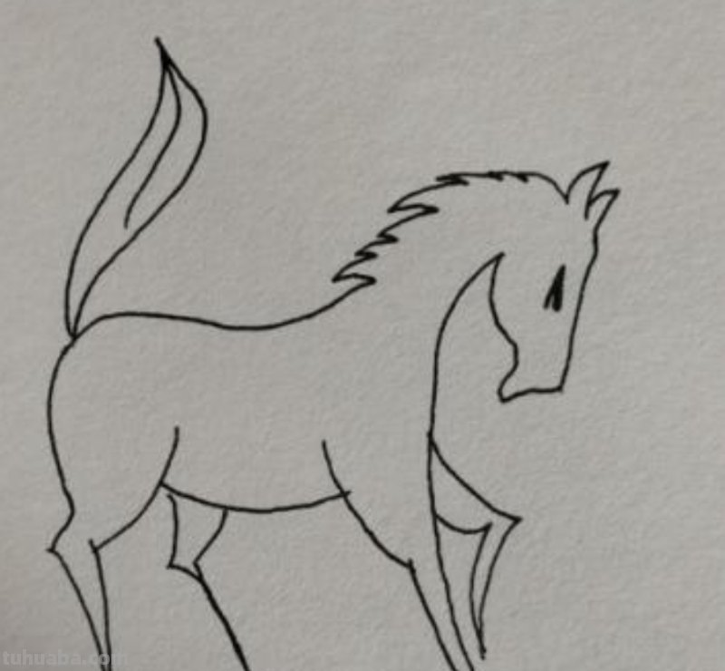 彩铅画的卡通马怎么画 五个步骤教你画马？