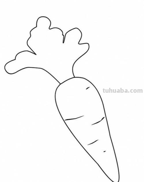 红萝卜怎么画简笔画 简笔画卡通胡萝卜的画法?