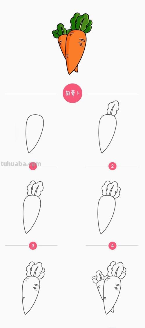 红萝卜怎么画简笔画 简笔画卡通胡萝卜的画法?