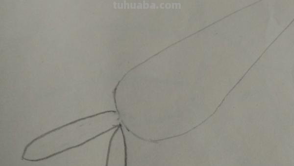 红萝卜怎么画简笔画 简笔画卡通胡萝卜的画法？