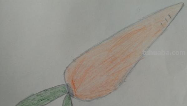 红萝卜怎么画简笔画 简笔画卡通胡萝卜的画法？