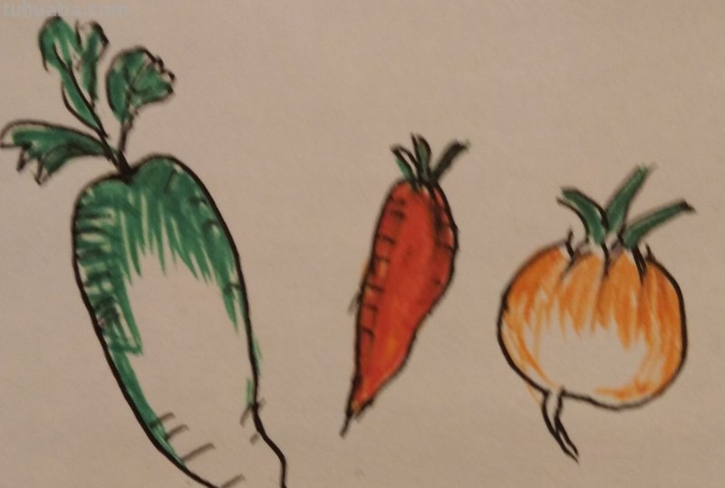 红萝卜怎么画简笔画 简笔画卡通胡萝卜的画法？