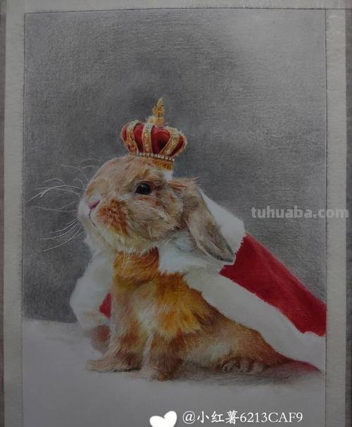 用彩铅画简易兔子怎么画 一年级铅笔画简单又好看小兔?
