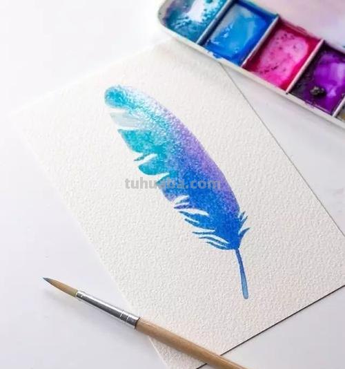 如何用色彩画羽毛?色彩画羽毛教程分享
