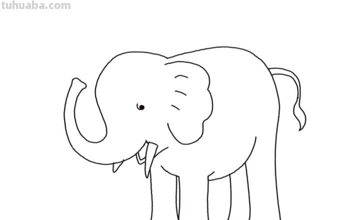 怎么画大象的简笔画 儿童简笔画:大象的最简单画法?