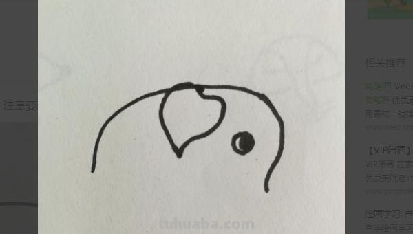 怎么画大象的简笔画 儿童简笔画：大象的最简单画法？