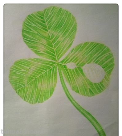 绿色的画怎么画用彩铅 绿色的画简单又漂亮?