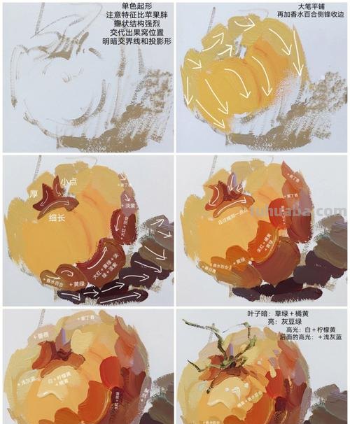 色彩静物西红柿及色彩静物西红柿调色公式