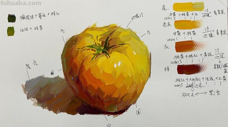 色彩静物西红柿及色彩静物西红柿调色公式