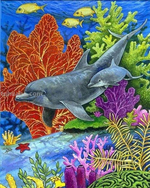 海色彩图及海色彩画——绚丽多彩的海洋世界