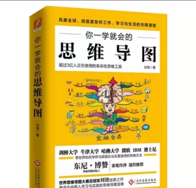 什么书籍可以提高思维导图 请先哲推荐几本思维导图的重要书籍？