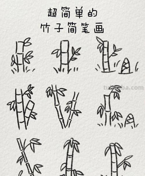 竹子的简笔画怎么画 竹子简笔画怎么画竹子?
