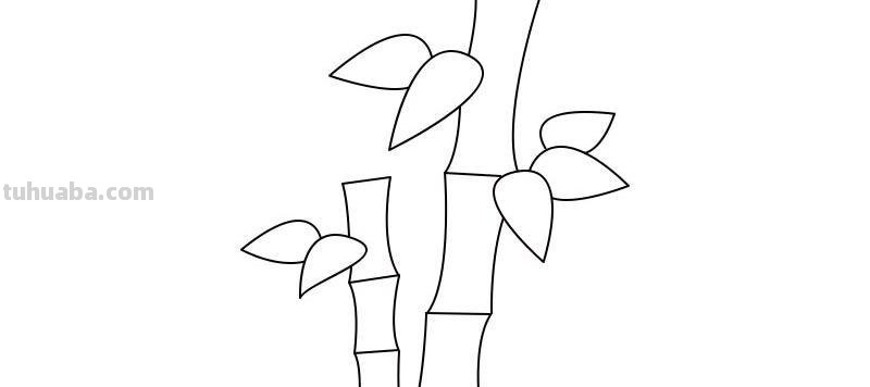 竹子的简笔画怎么画 竹子简笔画怎么画竹子?