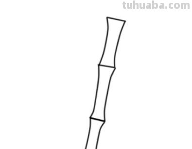 竹子的简笔画怎么画 竹子简笔画怎么画竹子？