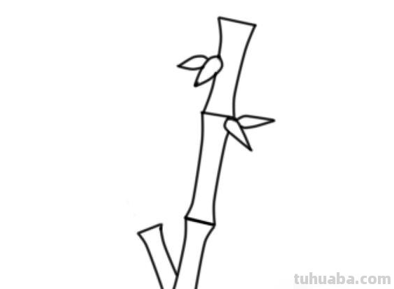 竹子的简笔画怎么画 竹子简笔画怎么画竹子？