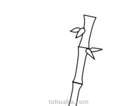 竹子的简笔画怎么画 竹子简笔画怎么画竹子？