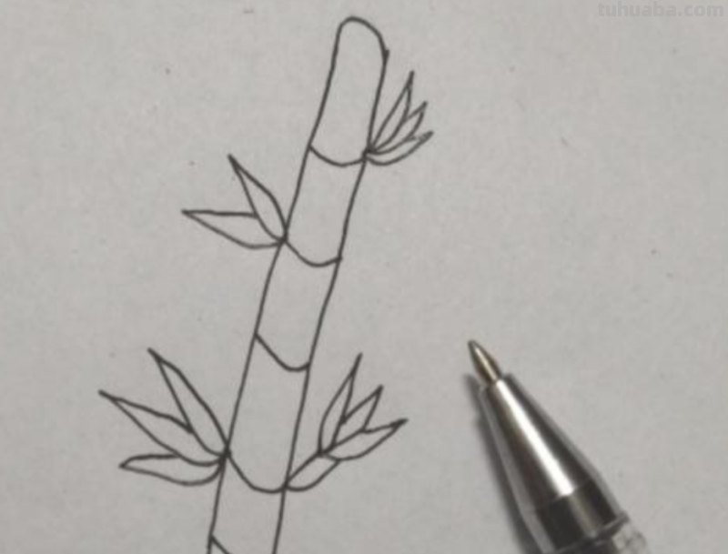 竹子的简笔画怎么画 竹子简笔画怎么画竹子？