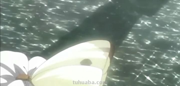 流离之人追逐幻影出自哪里?