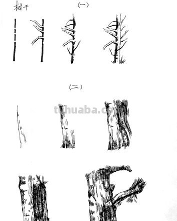 速写画技巧树林 木材速写表现方式?