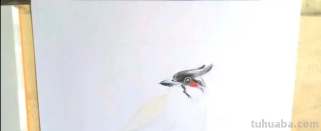彩铅画鸟在树上怎么画 三年级画火焰鸟简单又漂亮？