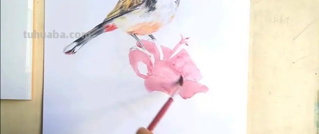 彩铅画鸟在树上怎么画 三年级画火焰鸟简单又漂亮？