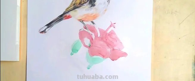 彩铅画鸟在树上怎么画 三年级画火焰鸟简单又漂亮？