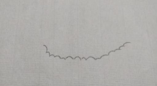彩铅画鸟在树上怎么画 三年级画火焰鸟简单又漂亮？