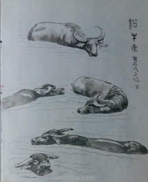 画技巧水牛速写 怎么画简单的牛?