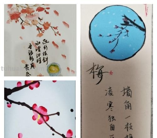 梅花图案的读书卡怎么做 梅花记录卡怎么做?
