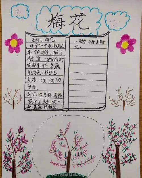 梅花图案的读书卡怎么做 梅花记录卡怎么做？