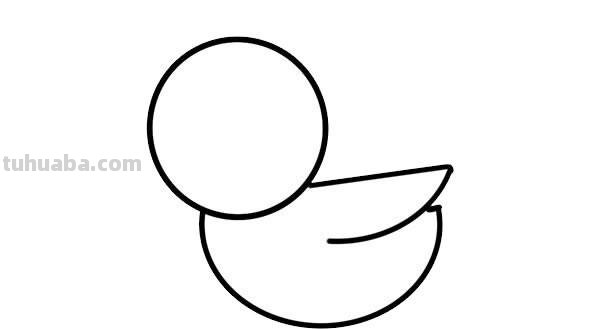 鸭子的简笔画怎么画 如何画一只鸭子,鸭子简笔画步骤图?