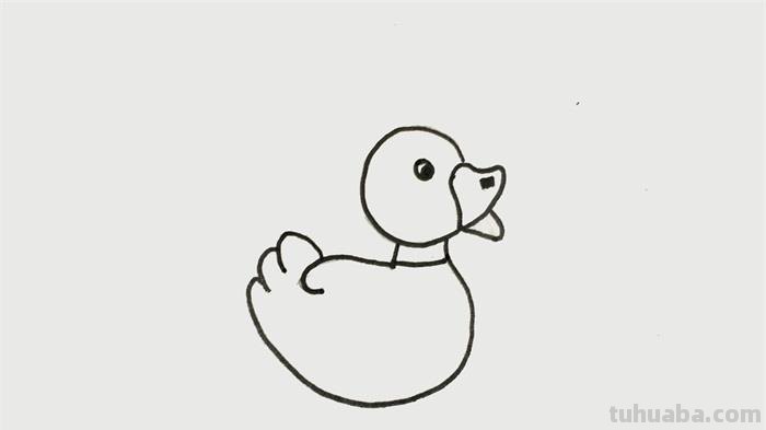 鸭子的简笔画怎么画 如何画一只鸭子,鸭子简笔画步骤图?
