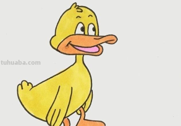 鸭子的简笔画怎么画 如何画一只鸭子,鸭子简笔画步骤图?