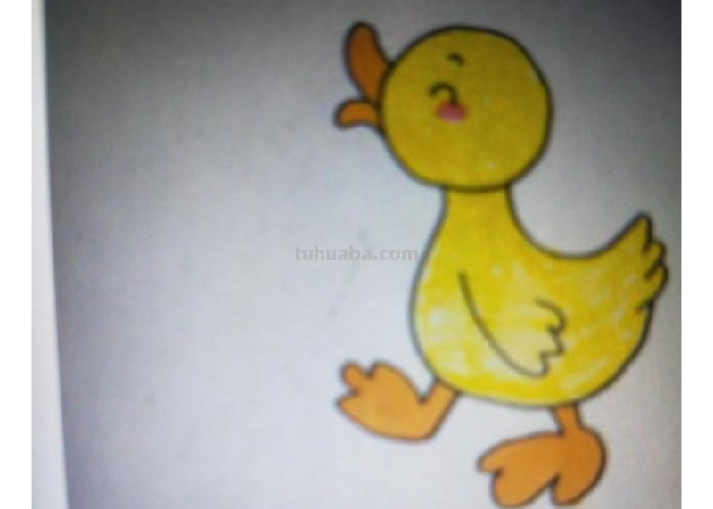 鸭子的简笔画怎么画 如何画一只鸭子，鸭子简笔画步骤图？
