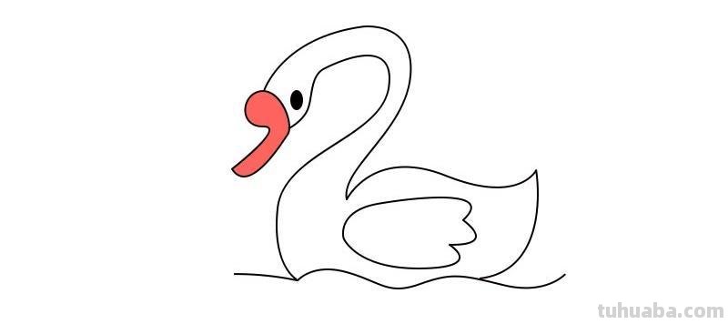 画天鹅怎么画简笔画 如何画天鹅好看?