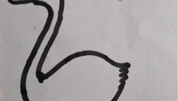 画天鹅怎么画简笔画 如何画天鹅好看？