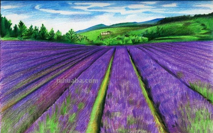 彩铅画怎么画 简单又漂亮 怎么用彩铅画超简单的花海?