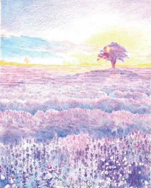 彩铅画怎么画 简单又漂亮 怎么用彩铅画超简单的花海?