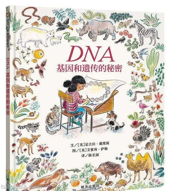 繁复细腻，诗意复古，这水彩风格绘本插画直戳我审美点