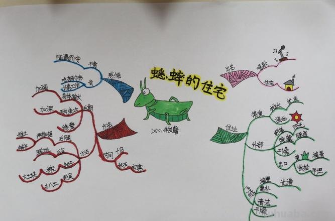 昆虫观察思维导图怎么画 三年级昆虫观察记录卡?