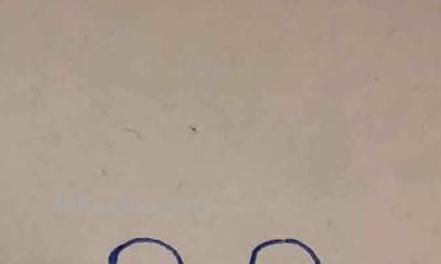 玩具汽车怎么画简笔画 小汽车画画教程? 玩具汽车怎么画简笔画 小汽车画画教程?