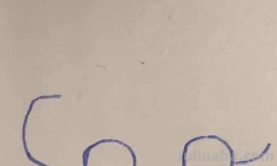 玩具汽车怎么画简笔画 小汽车画画教程? 玩具汽车怎么画简笔画 小汽车画画教程?