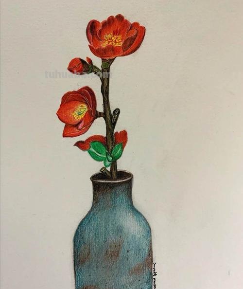 绘画参考素材｜彩铅这样画，对细节的塑造能力大有帮助