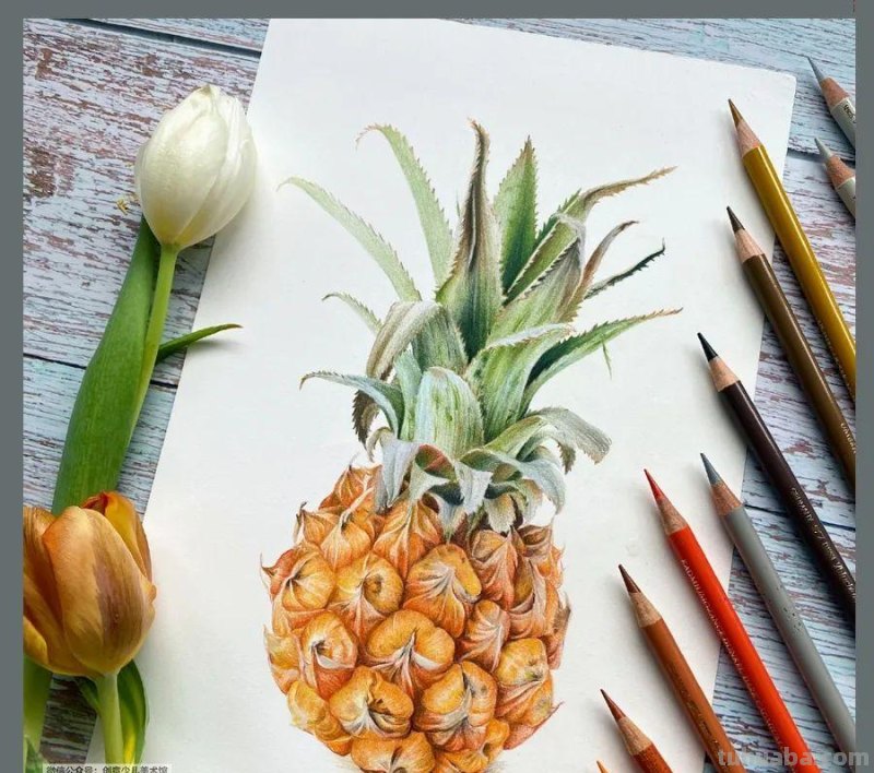 绘画参考素材｜彩铅这样画，对细节的塑造能力大有帮助