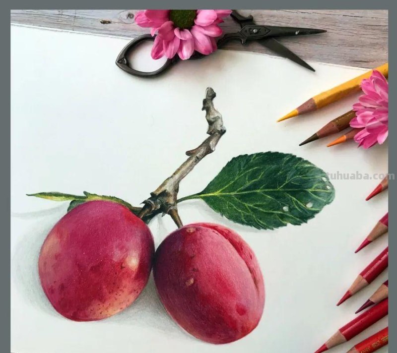 绘画参考素材｜彩铅这样画，对细节的塑造能力大有帮助