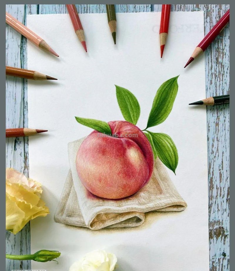 绘画参考素材｜彩铅这样画，对细节的塑造能力大有帮助