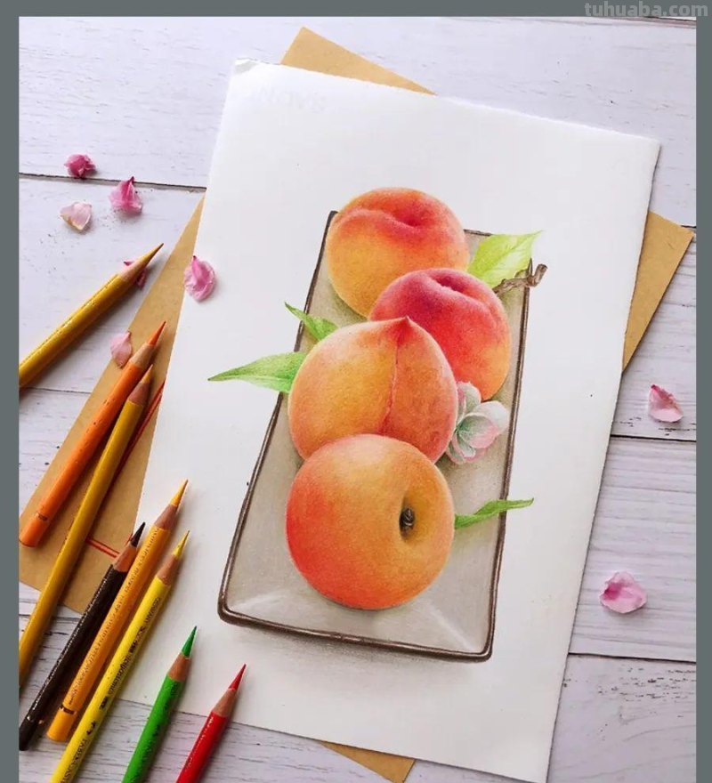 绘画参考素材｜彩铅这样画，对细节的塑造能力大有帮助