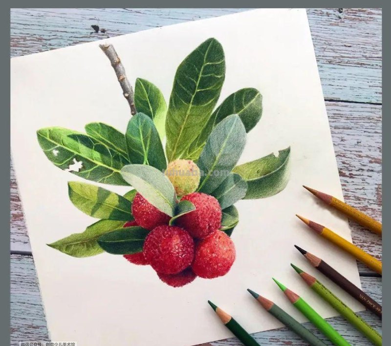 绘画参考素材｜彩铅这样画，对细节的塑造能力大有帮助