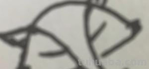 小狐狸怎么画简笔画 如何画想吃葡萄的狐狸的简笔画？